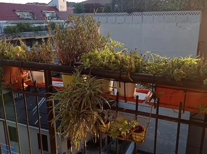 Terrazza18 Daire *